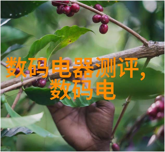 PVC管与PPR管的选择与应用差异建筑材料选型指南