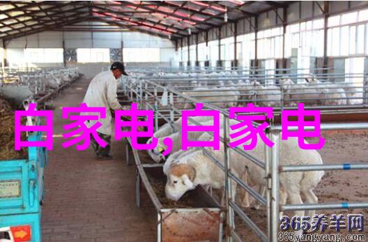 固定床反应器的工作原理 - 化学反应之轮揭秘固定床技术的奥秘
