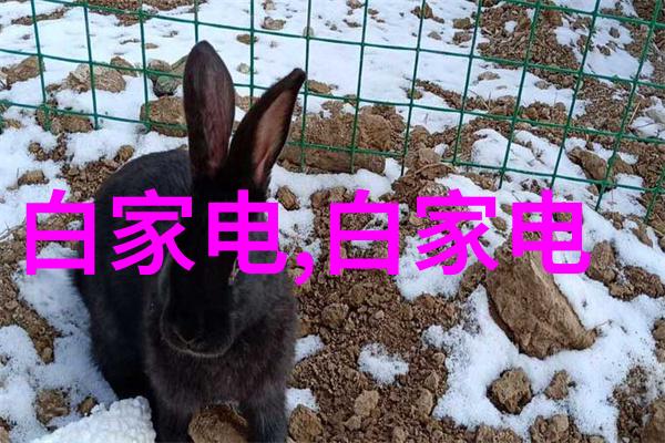 304不锈钢板今日价格走势分析与预测