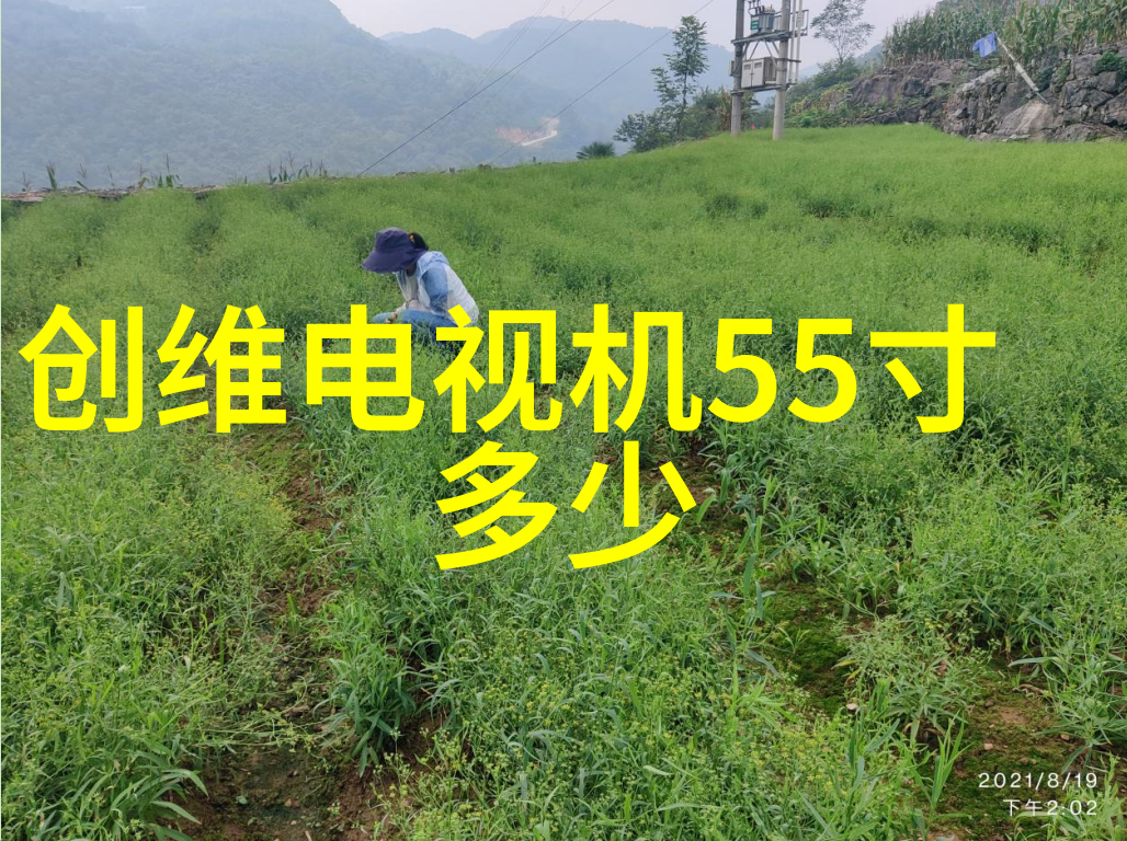 塑料管缔造与消亡的物质记忆