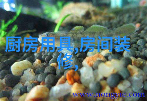 中国光刻机的停滞谁的指令让科技进步陷入沉默