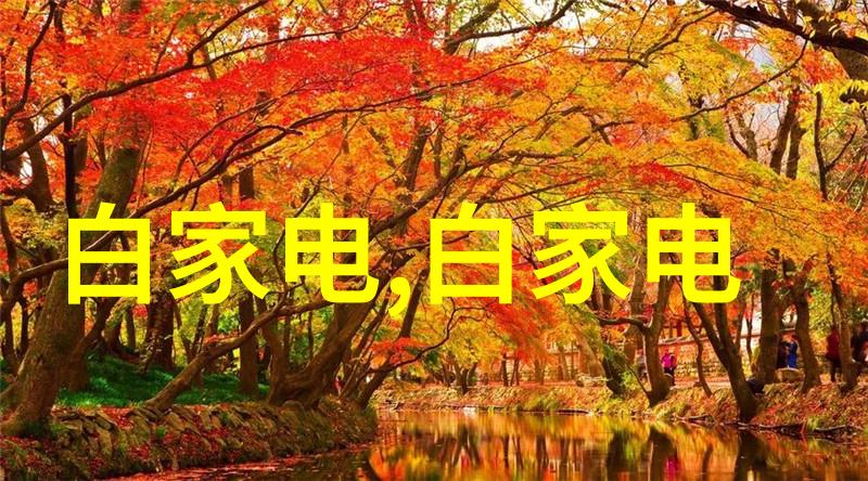 立式沉降式离心机-高效分离精华揭秘立式沉降式离心机的工作原理与应用场景