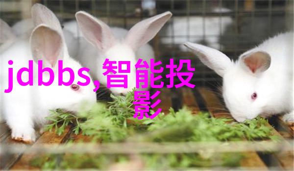 吸附剂魔力与污染的双面刃