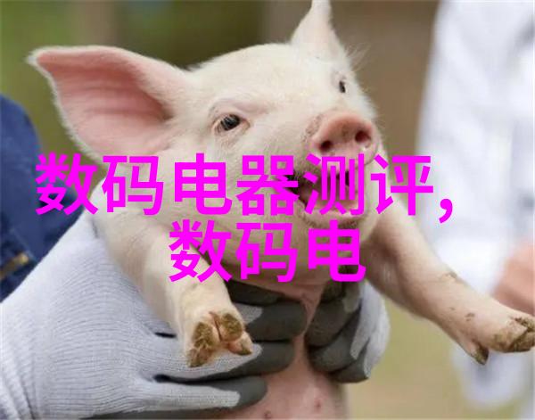 膜分离之谜透明界限下的物质奥秘