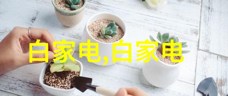 工厂清洁的守护者脉冲袋式除尘器的故事