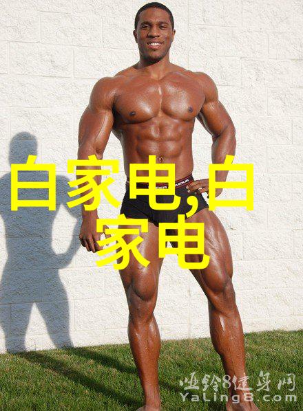 焊接灵魂探索二保焊技术的艺术与智慧
