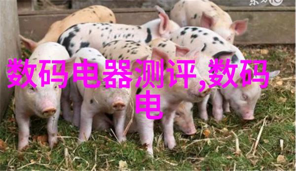 切削液处理污水处理设备我是如何让工厂的废水变得干净如初