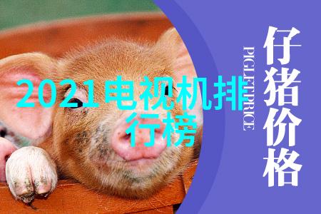 丝网填料阻力我是怎么学会了避开那些让人抓狂的实验室小挑战