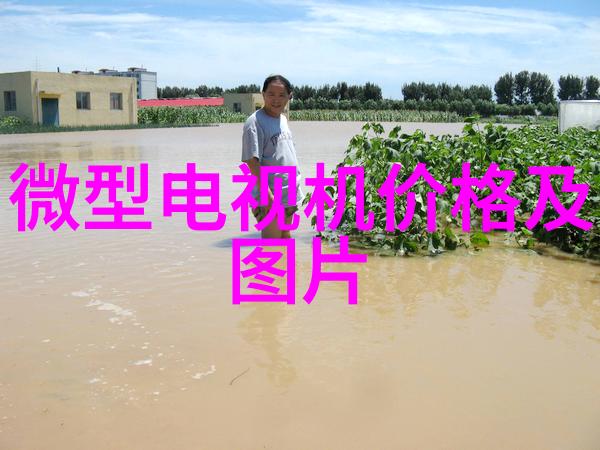 中铝智能工厂从传统制造到智能化转型的战略探究