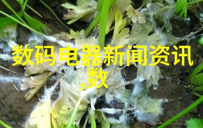 网易摄影5D2双斜镜组配件24-10570-200小白升级路线图