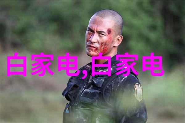 踏碎浮云路步步为盈的智慧与实践