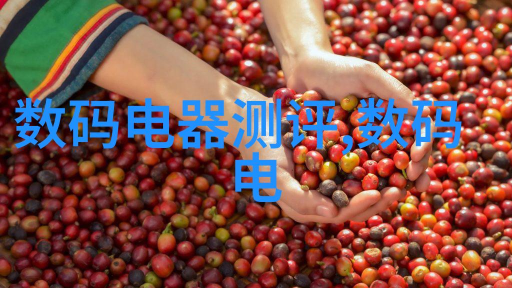灵魂缓刑重生之旅追求第二次机会的故事