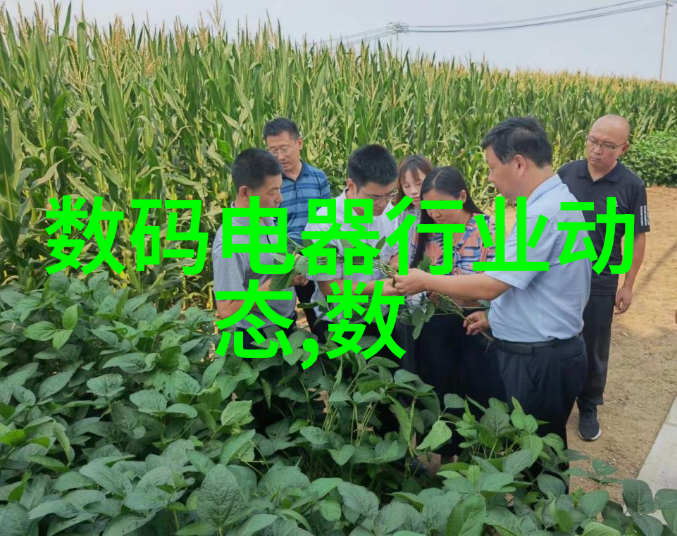 为什么高档衣服都是聚酯纤维我也不知道直到我穿上那件让人惊叹的T恤