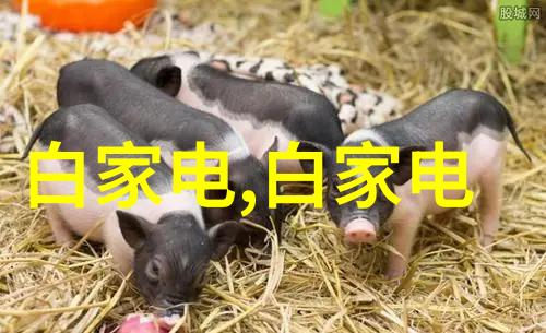 钢筋混凝土管材型号建筑工程中常用的钢筋混凝土管材规格和类型