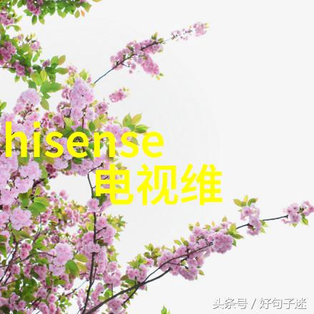 恒温恒湿-精密控制恒温恒湿技术在现代农业中的应用