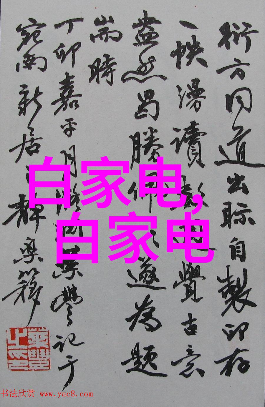 实习生梦想起航广西国际商务职业技术学院实习项目介绍