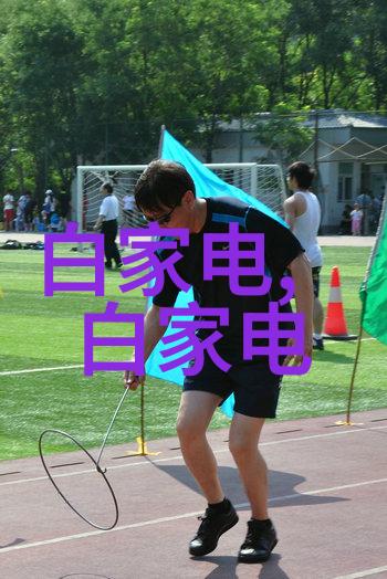 电视分为液晶和LED光源显示技术
