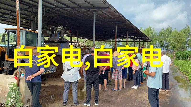 云泥青灯智慧的守望者
