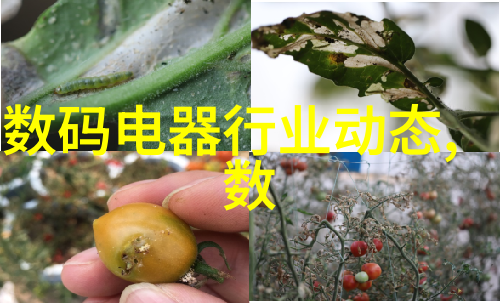 水管尺寸选择指南50mm75mm和110mm的区别与应用