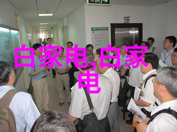 智能化进军煤炭分选机如何提升效率与安全性