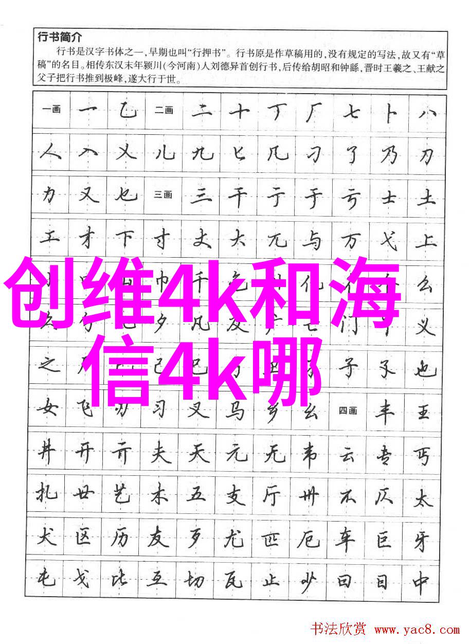 香槟玫瑰品味贵族的芬芳与光芒