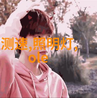 卫生间门口屏风图片背后的等电位联结端子作用不可忽视