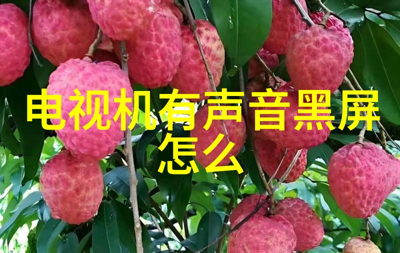 离心萃取机-旋转分离的精髓理解高效液体处理的核心原理