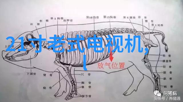 科技驱动新纪元探索仪器分析领域的创新前沿