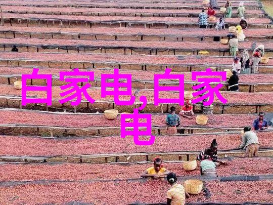 反应釜中的水调节寒流与热潮的交响