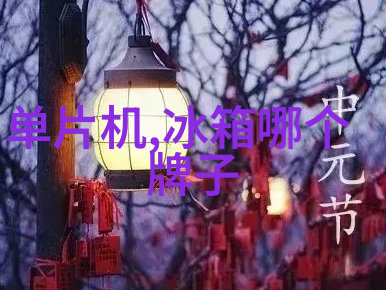 家用冰箱美食展示家庭冰箱内的美味佳肴展示