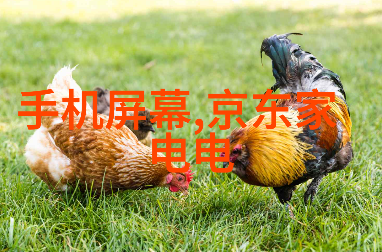 空调系统解析从冷凝器到风机各部分作用揭秘