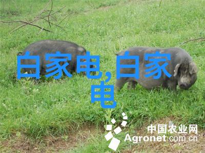 小型黄酒杀菌设备精益生态的酿酒新选择