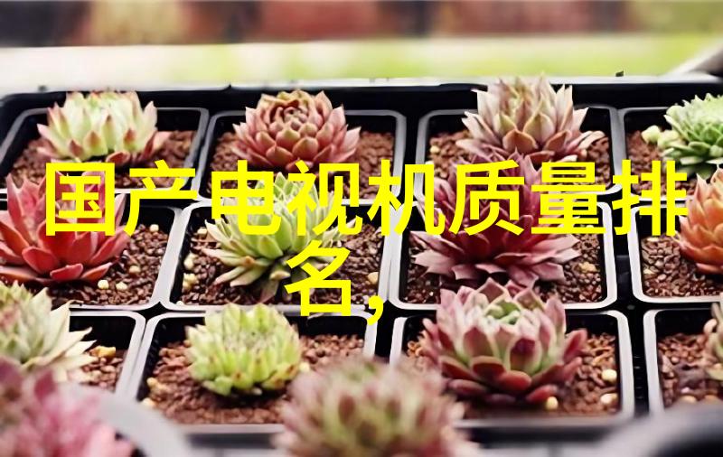 泡沫板的物理特性及其在教育实践中的应用研究