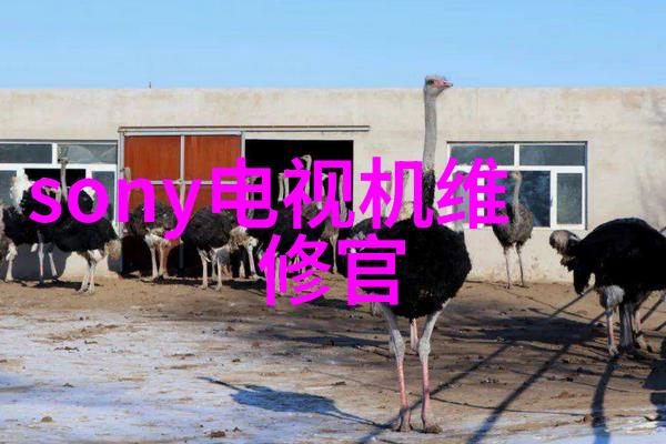 男按摩师的温柔触碰