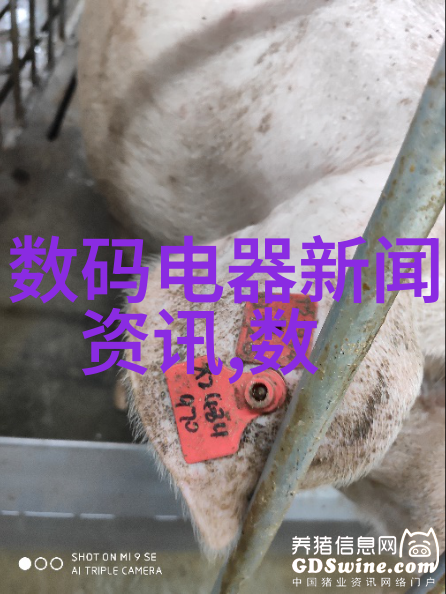 工业吸尘器大型我是如何用一台超级强劲的工业吸尘器解决了大工厂的顽固污垢问题的