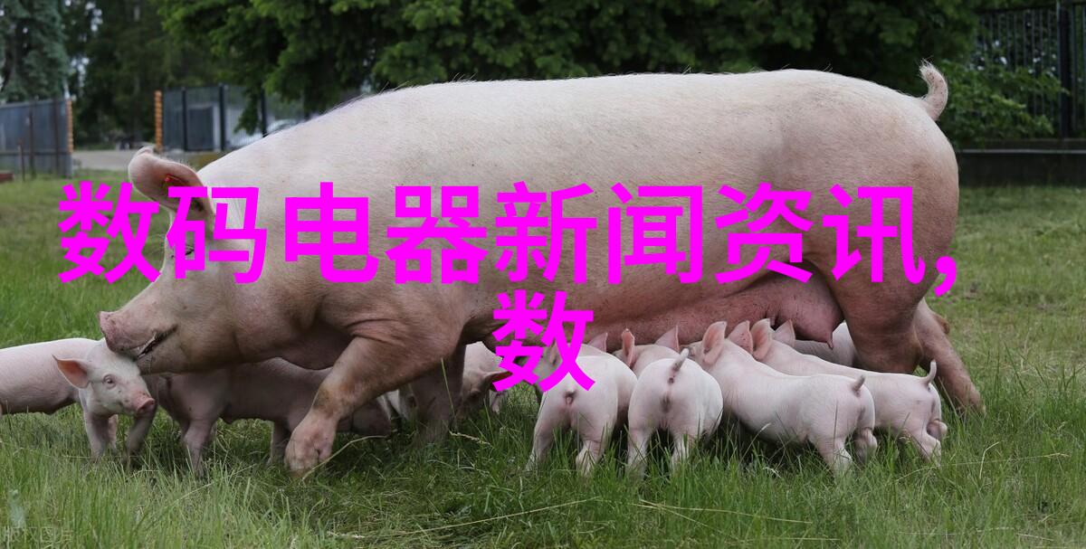 医疗器械 - 超声波清洗与自动高压蒸汽灭菌器的结合提升医疗设备消毒效率