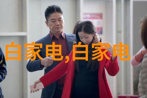 织梦波纹探索丝网填料的数学奥秘