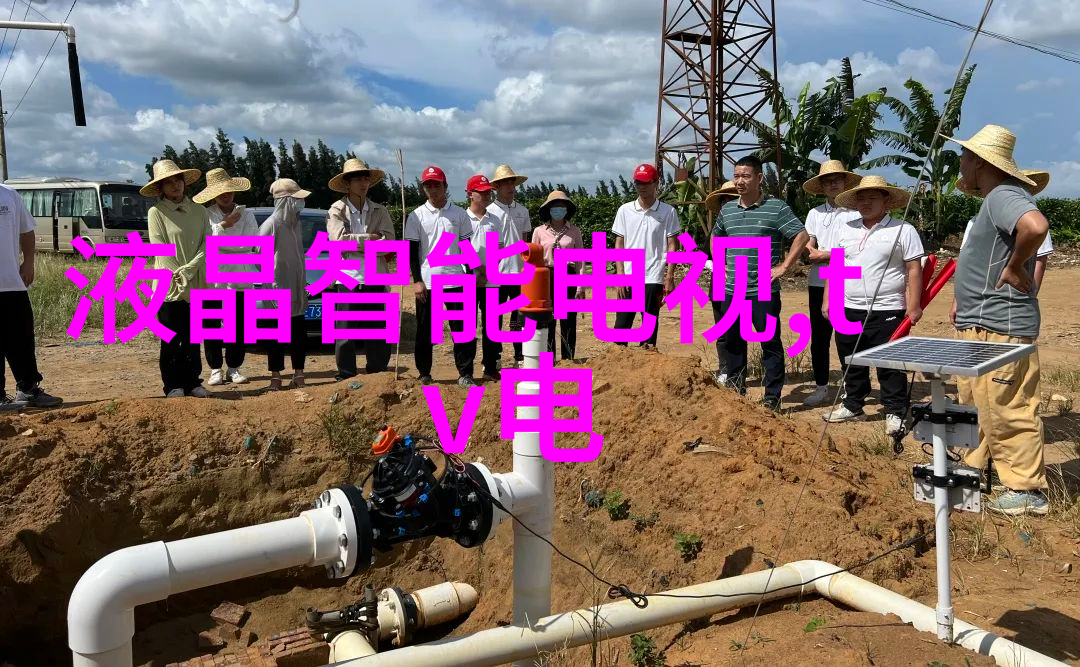 主题我来告诉你啦啦啦中文日本免费高清完整版的秘密