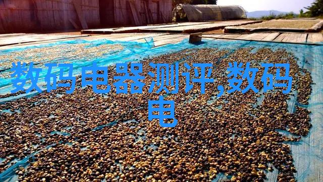 PE管材在现代建筑中的应用与优势分析