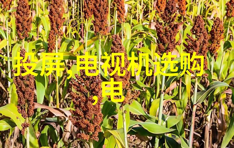 全国艺术摄影大赛揭晓镜头下的艺术奇迹