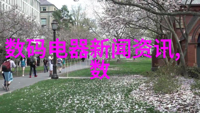 不锈钢架子稳固的结构美观的装饰