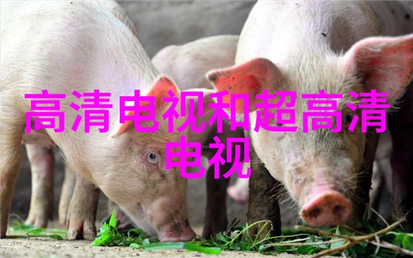 粘度探秘从黏性到流动的复杂世界