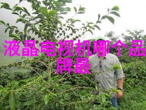 数码电器新闻资讯智能家居设备的市场趋势分析