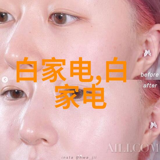 紫禁城之谜穿越时空的秘密画卷