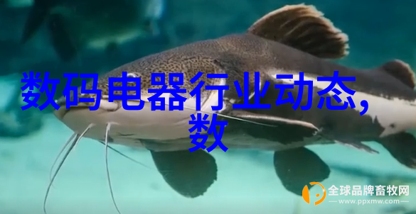 办公室设计装修创意空间规划高效工作环境