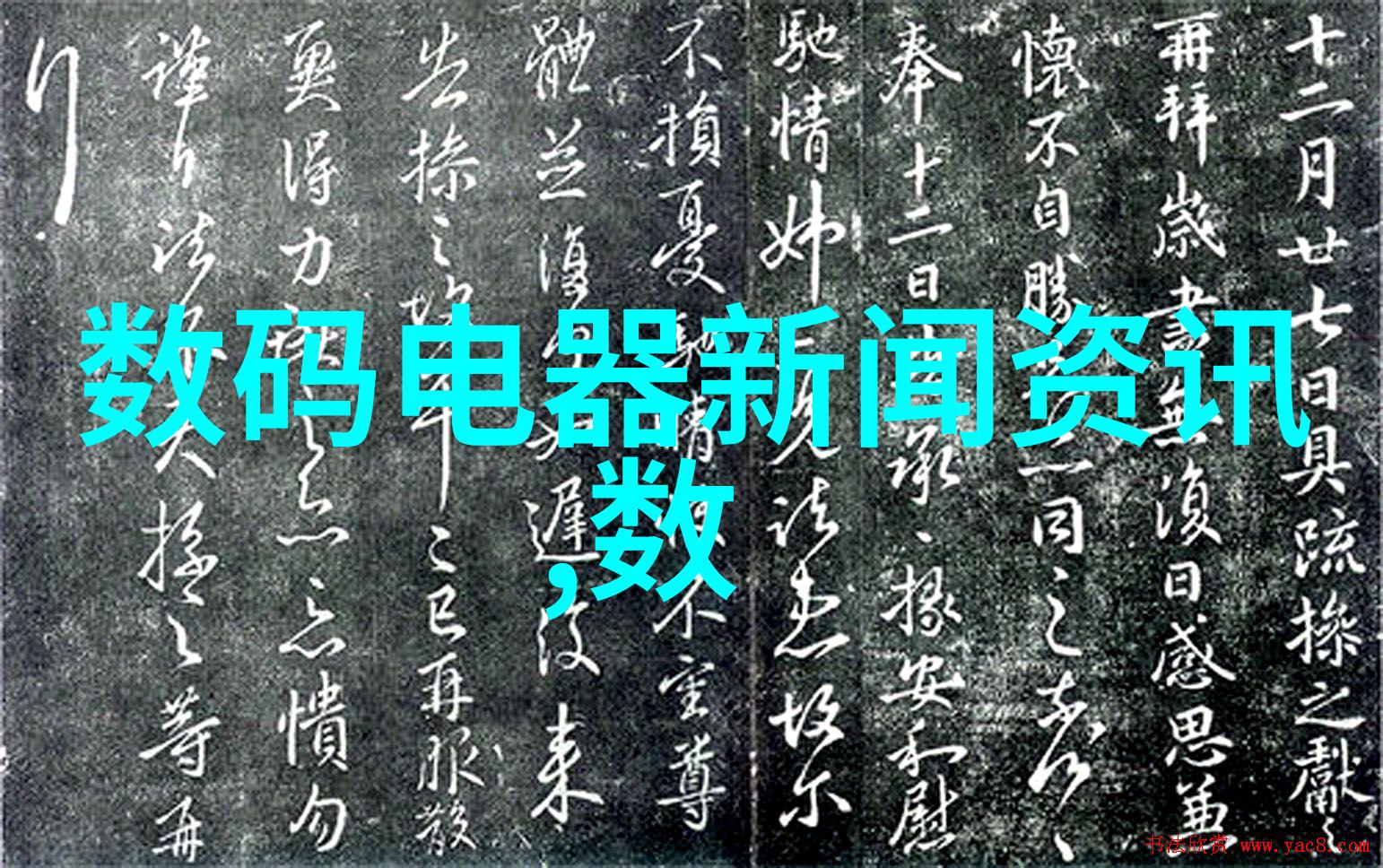 高清美女视频免费观看中国网友热议的时尚潮流