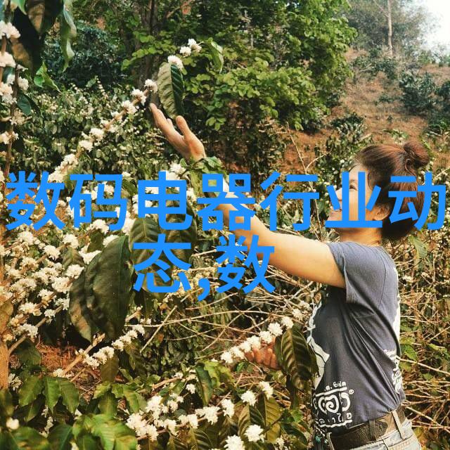 水电承包合同范本工程合作的坚实基石