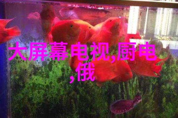 防腐材料的选择与应用概述