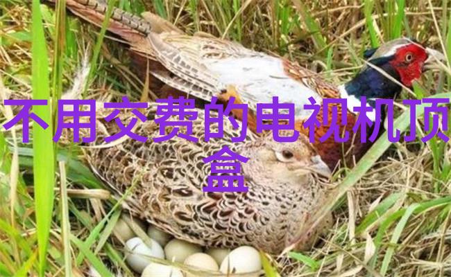 PVC手套