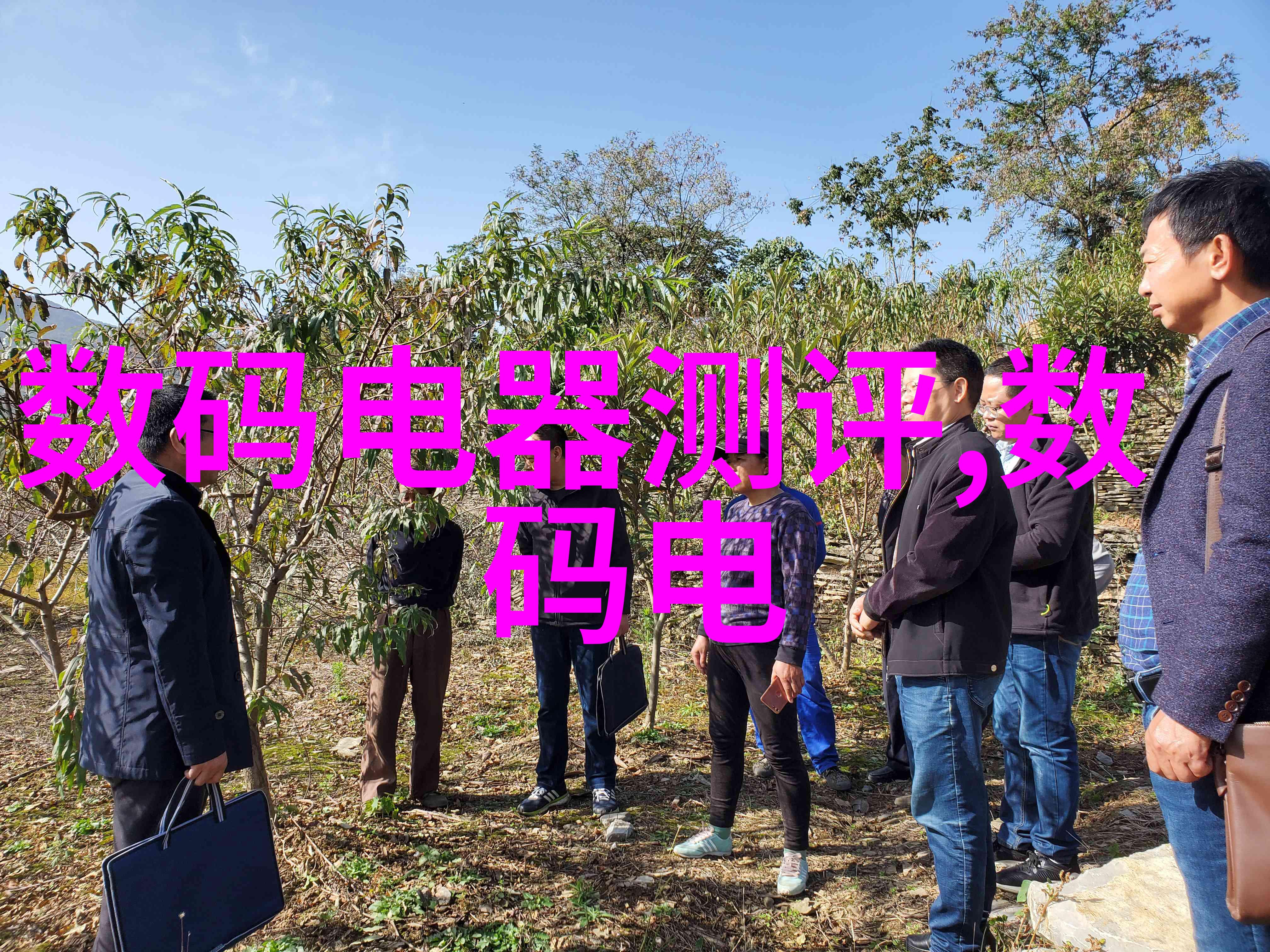 dn50金属环矩鞍填料hetp安装步骤详解